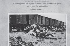 Foto di uno sterminio di massa: esecuzione di polacchi (dodis.ch/32108)