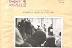 Foto di uno sterminio di massa: esecuzione di polacchi (dodis.ch/32108)