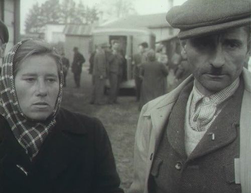 Grosszügige Asylpolitik: Flüchtlinge aus Ungarn an der Grenze bei Buchs SG. Schweizerische Filmwochenschau vom 16.11.1956, vgl. dodis.ch/dds/1314 Grosszügige Asylpolitik: Flüchtlinge aus Ungarn an der Grenze bei Buchs SG. Schweizerische Filmwochenschau vom 16.11.1956, vgl. dodis.ch/dds/1314