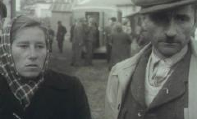 Generous asylum policy: Refugees from Hungary at the Swiss border near Buchs (SG). Schweizerische Filmwochenschau of 16.11.1956, cf. dodis.ch/dds/1314